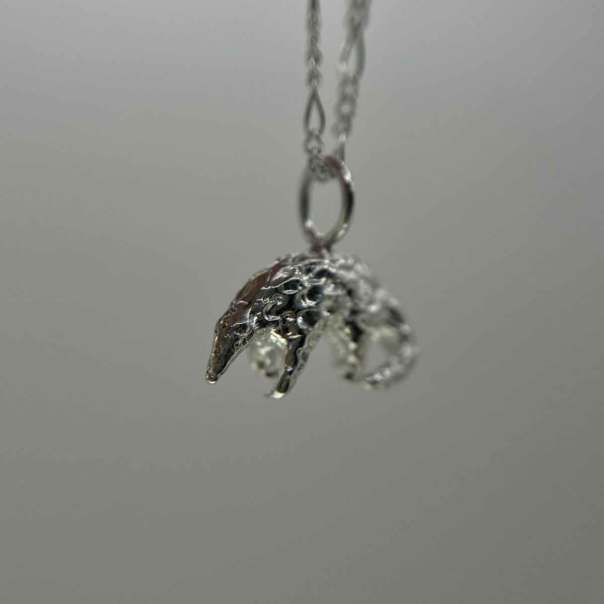 Pangolin