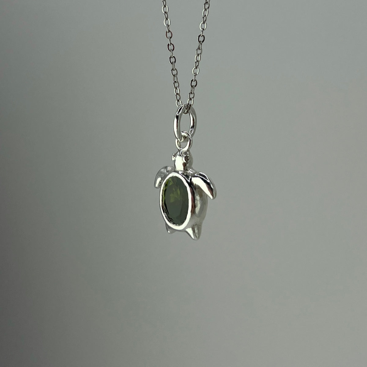 Green Turtle for Amanda
