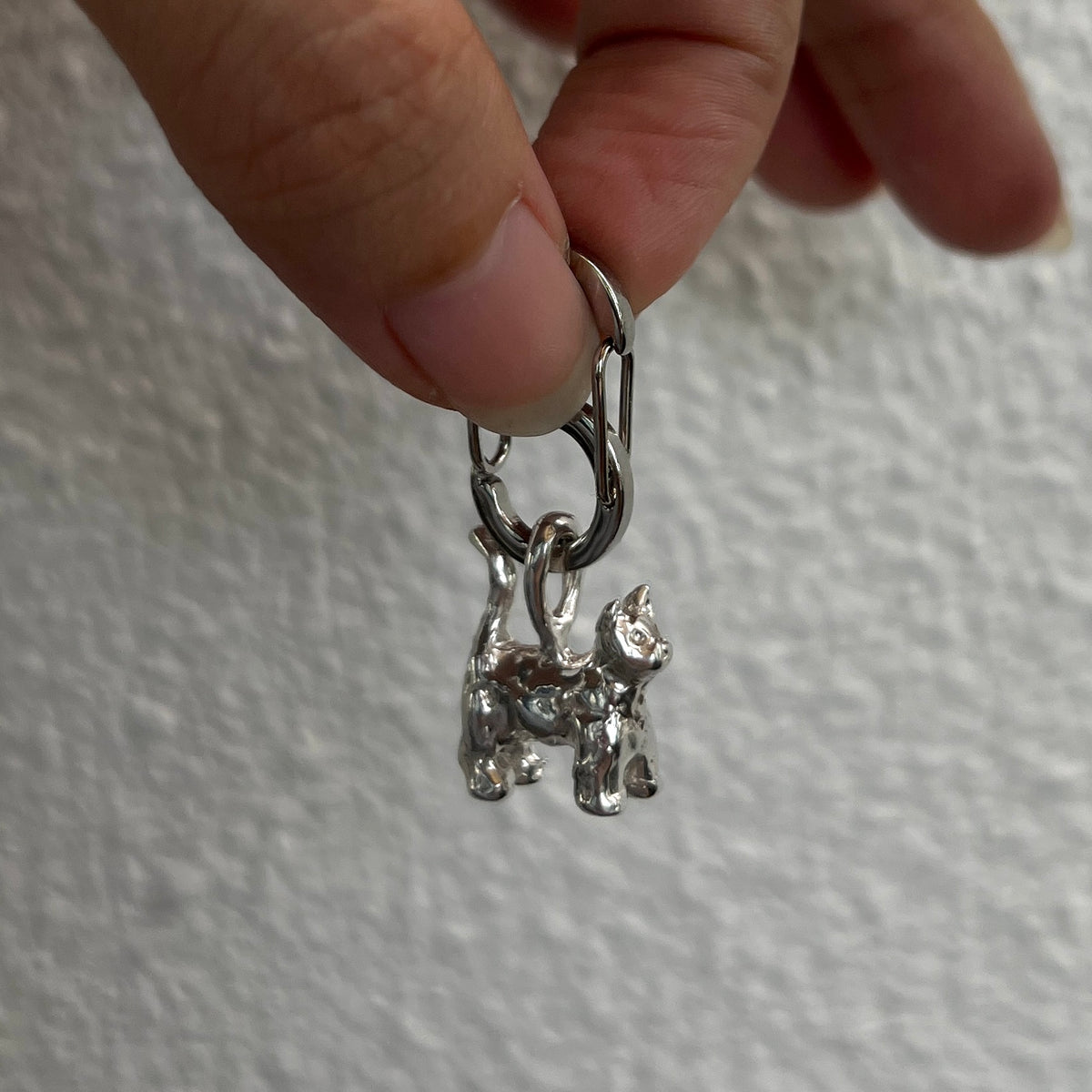 Jewels for Saamin